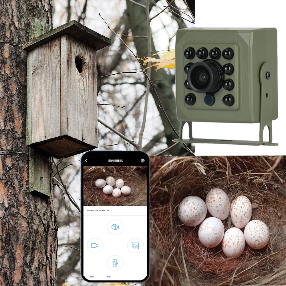 Home Security Video Recording Systems - 6MP 4MP Tuya Bird Camera WIFI