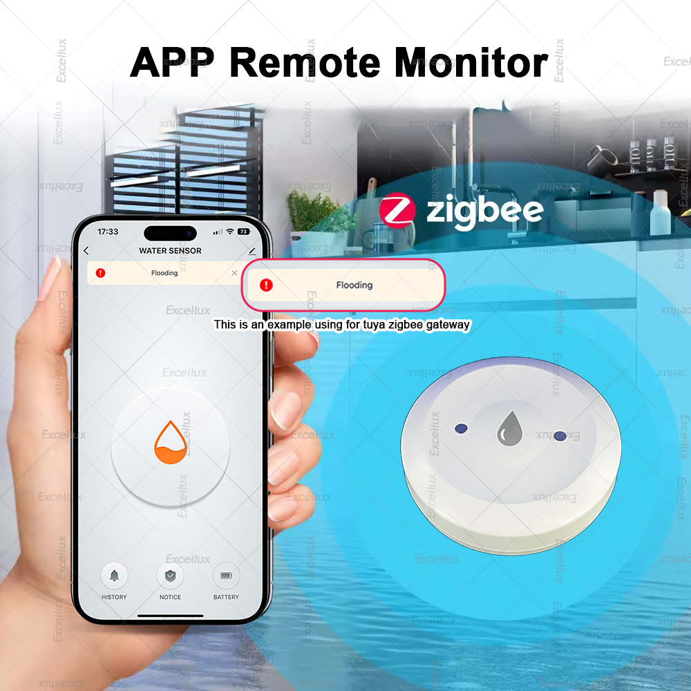 Zigbee Water Detector Leakage  - Home Security And Monitoring บทวิจารณ์และราคา