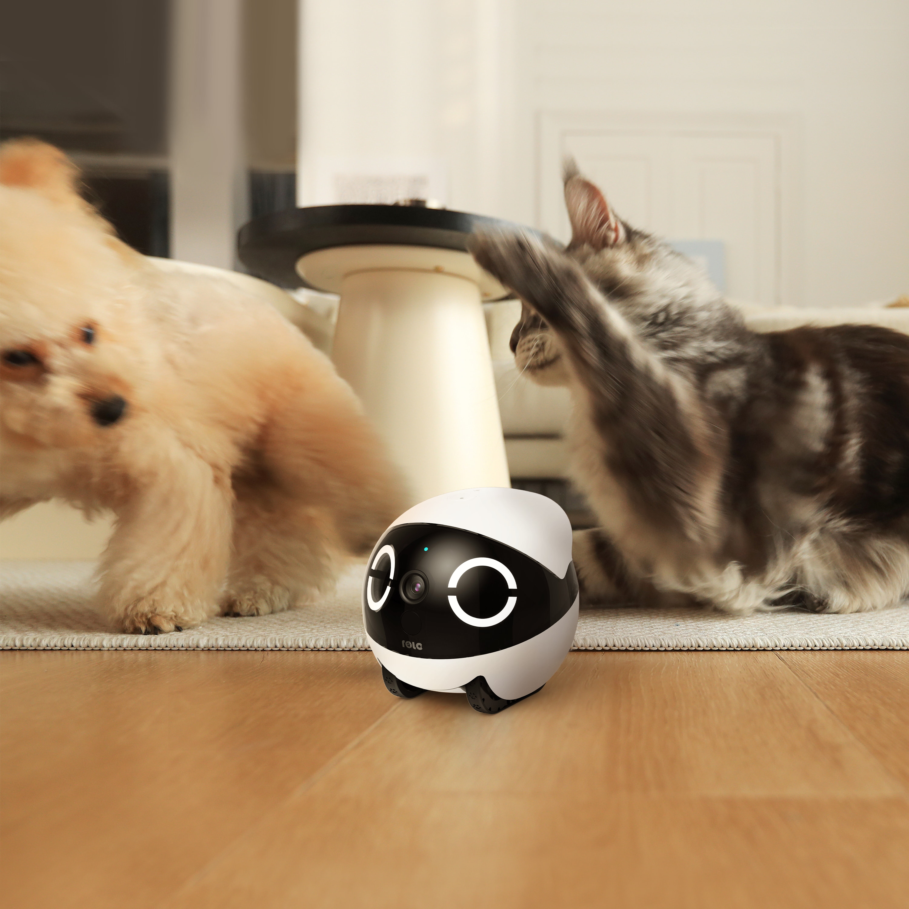 ROLA Mini Significant Other Ro - Home Security And Monitoring บทวิจารณ์และราคา
