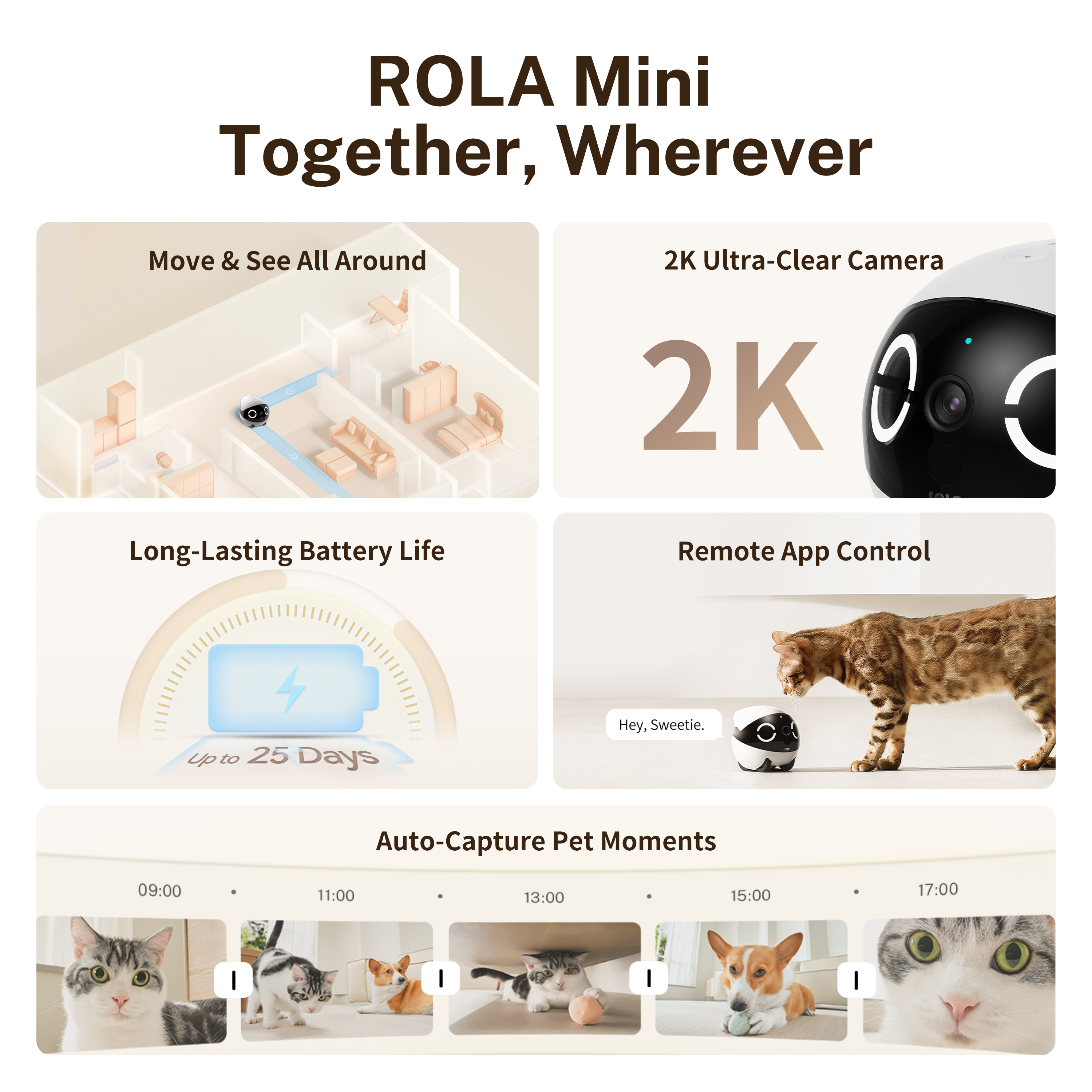 ROLA Mini Significant Other Ro - Home Security And Monitoring บทวิจารณ์และราคา