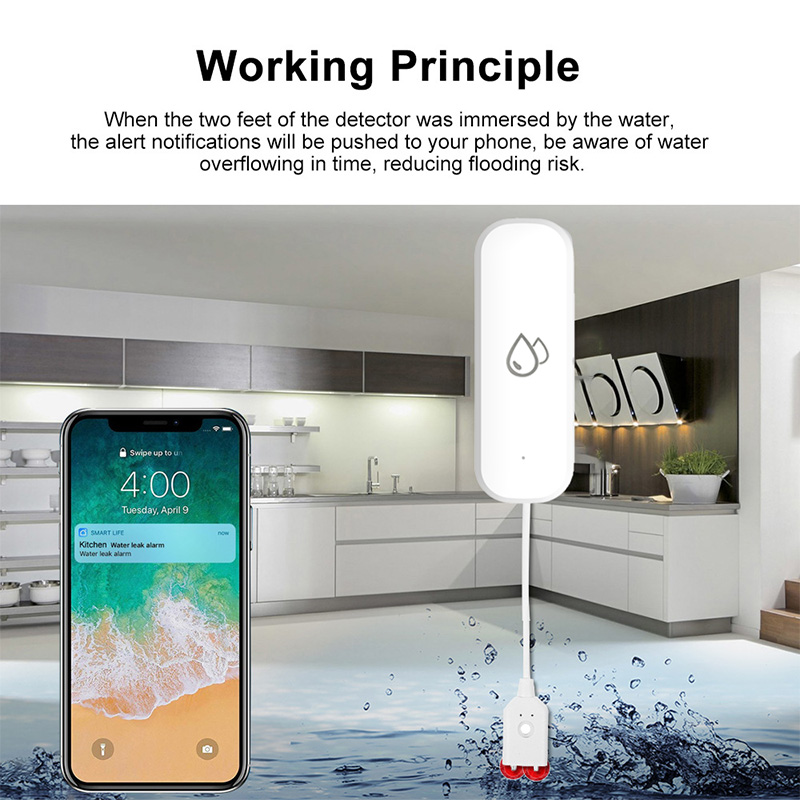 Tuya WiFi Water Leakage Alarm  - Home Security And Monitoring บทวิจารณ์และราคา